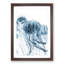 A Blue Jellyfish - Framed Print-56924939-56924942