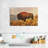 Wild Bison On The Field-440172409