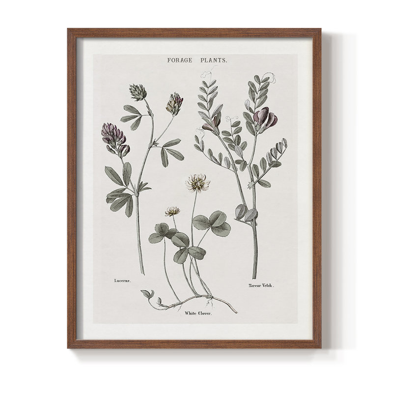 Multi Botanical I, reproduction encadrée - bois massif, Brun, H 14 po x l 11 po