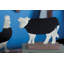 Tableau noir de table à thème de vache