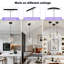 1 - Light Novelty Pendant