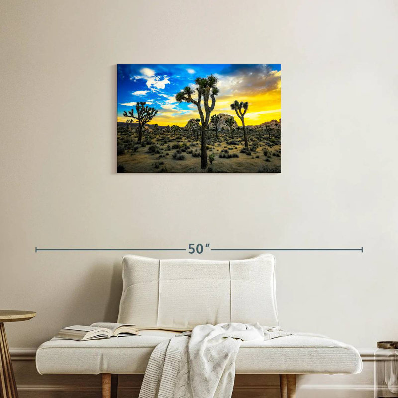 Nicci Joshua Tree Park, H 20 po x l 30 po