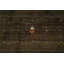 Tapis brun classique de style Gabbeh 10 x 10 avec des motifs discrets