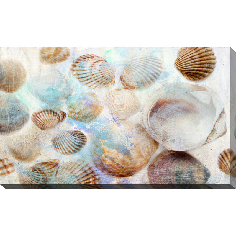 " Shells I ", 28" H x 48" W x 1.5" D