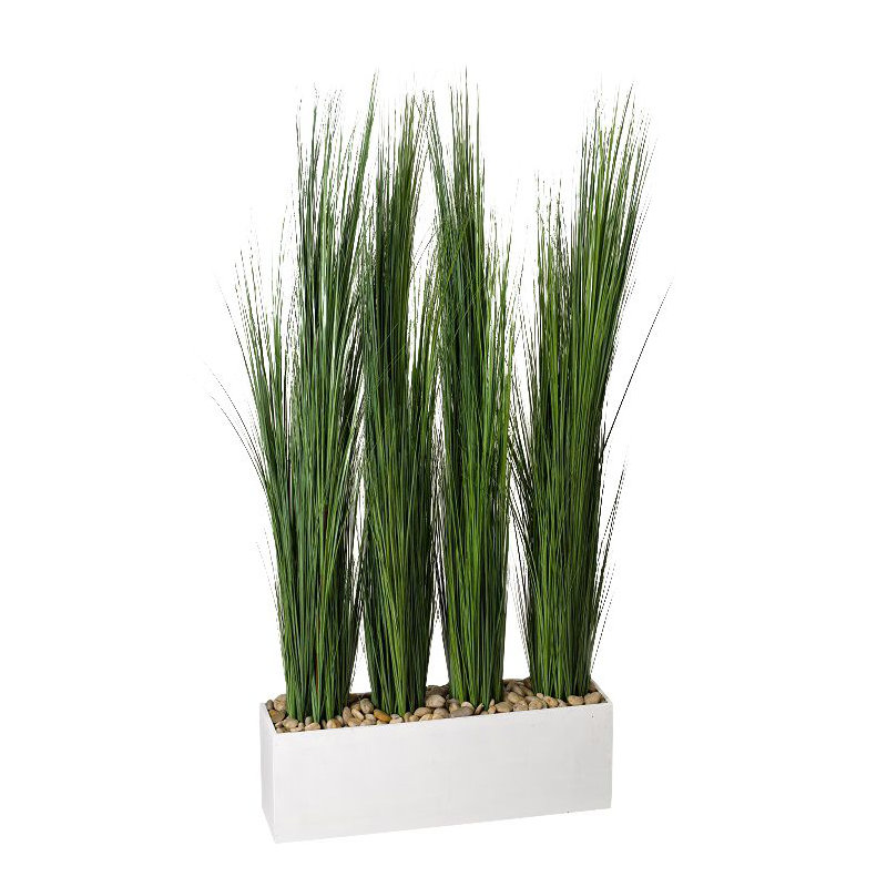 Oignon haut en pot de fleurs