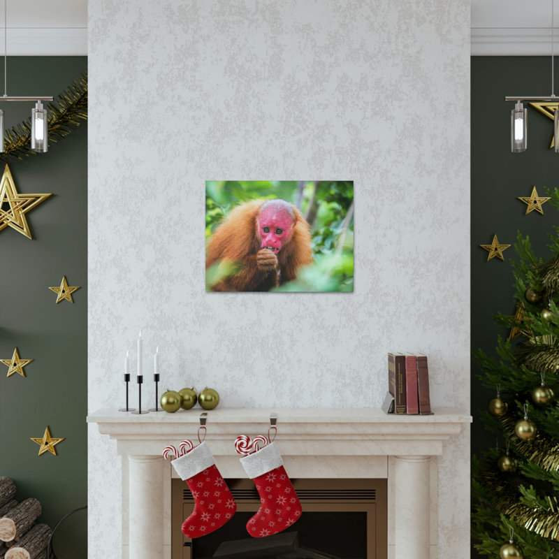 No Frame Print on Canvas, 12cm H x 16cm W
