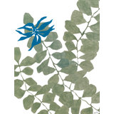 Silhouette Print by Trish Sierer