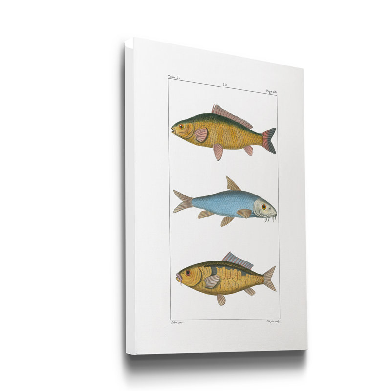 « Poissons d’eau II », reproduction d’art sur toile tendue, H 20 po x l 16 po x P 1 po