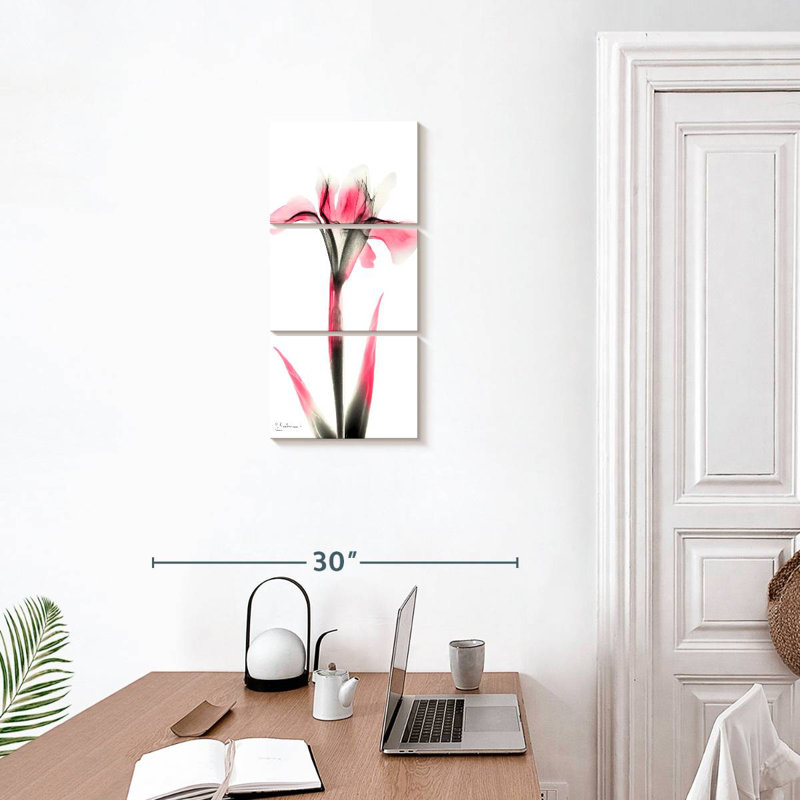 Iris rose infusé I, H 27 po x l 12 po