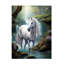 Fée cheval blanc sur toile-590863093