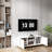 TV Stand With Storage