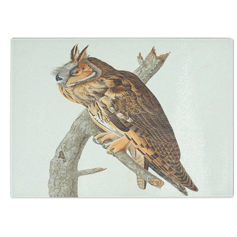 Glass Long-Eared Owl by John James Audubon Chopping Board, 39 cm W x 28.5 cm L