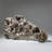 Véritable grappe d'ammonite fossilisée naturelle (11 lb)