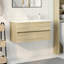 Saruf Freestanding Under Sink Cabinet