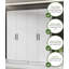Nitra 4 Door Solid + Manufactured Wood Wardrobe-59342079