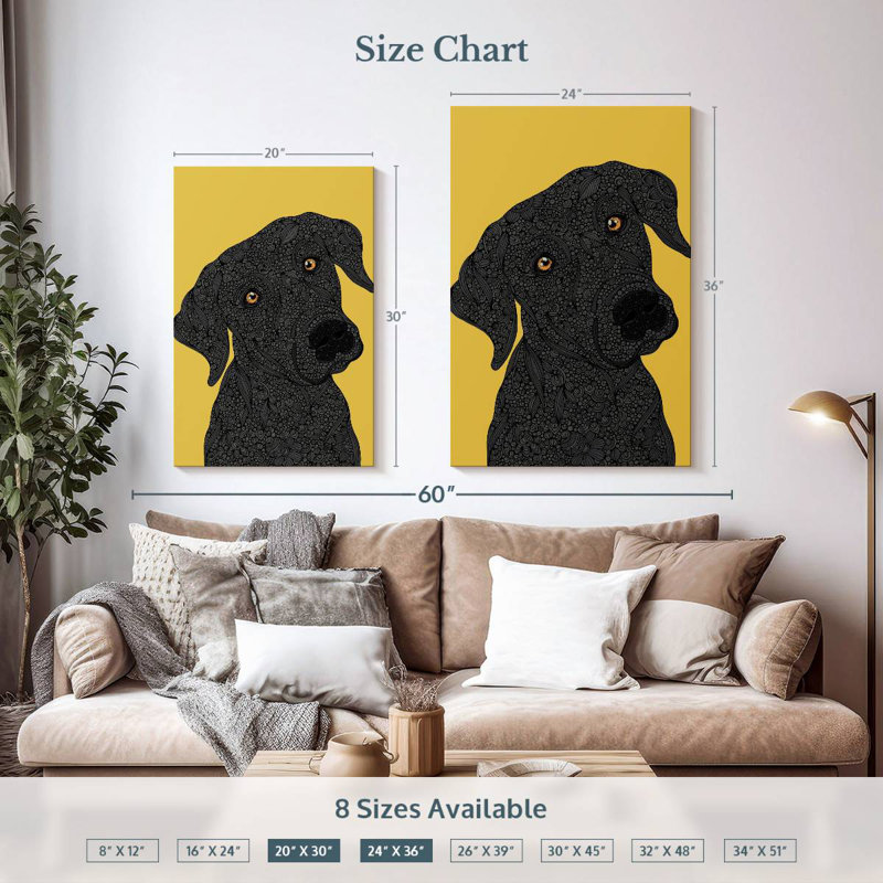 Labrador noir Brampt, H 36 po x l 24 po