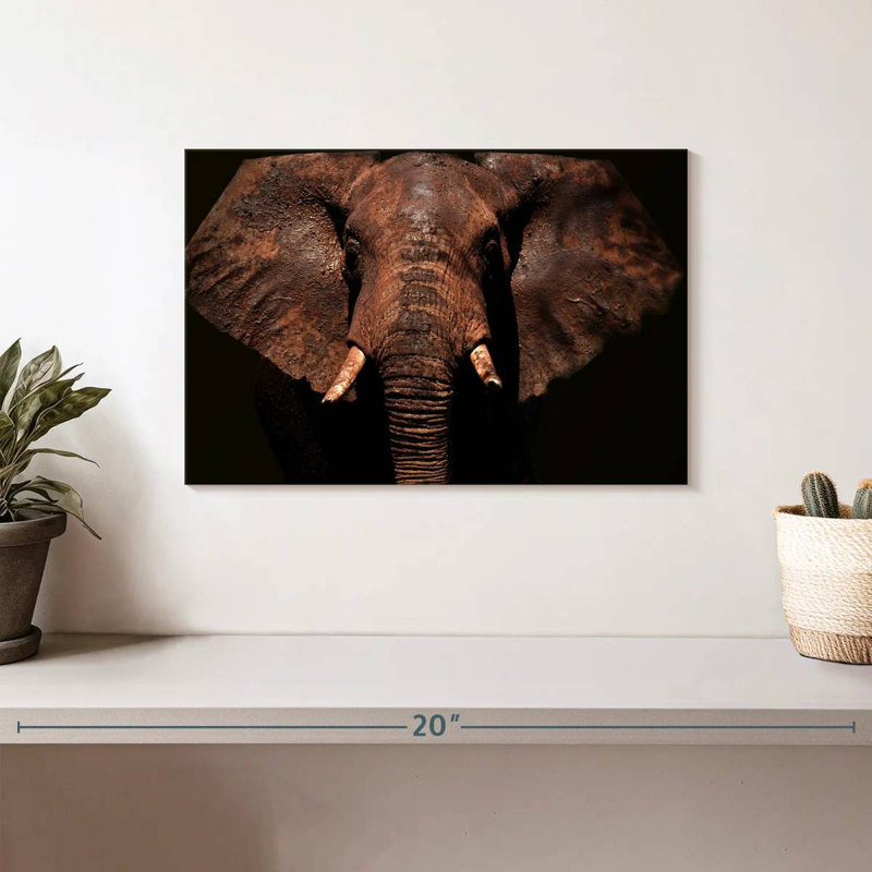 Brampt Aged Elephant, 8" H x 12" W