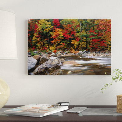 " Wild River In Eastern Hardwood Forest " by Tim Fitzharris