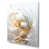 Wrapped Canvas