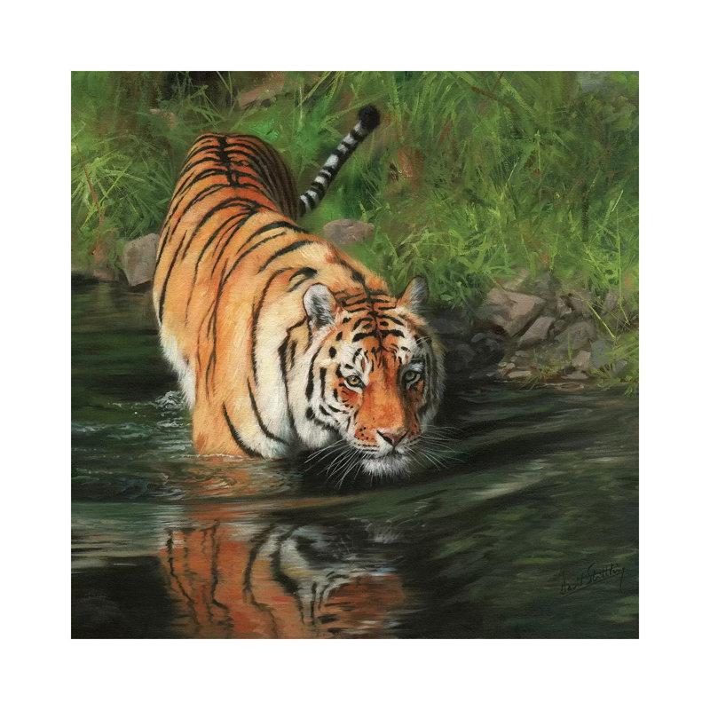 Tiger Entering River by David Stribbling - Wrapped Canvas Gallery-Wrapped Canvas Giclée, 45.72 cm H x 45.72 cm W