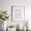 Fern3 Print