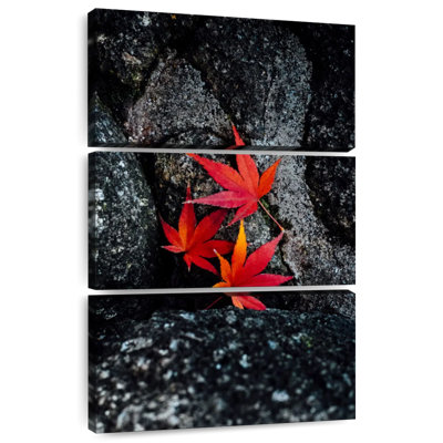 Harnek Pop Fallen Maple Leaves