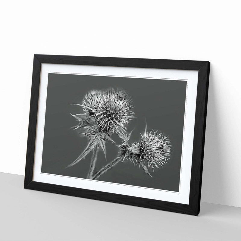 Single Picture Frame Print, Black
