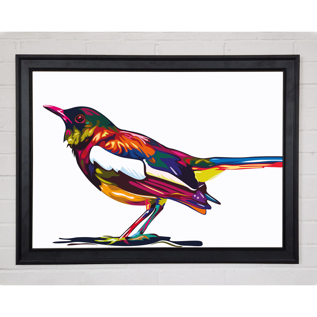 Colour Splash Blackbird Gerahmter Druck