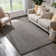 Dondre Performance Indoor Rug