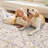 8x10 Washable Area Rug, Vintage Boho Floral Low-Pile Rug, Stain Resistant Soft Non-Slip Carpet for Living Room, Bedroom, Dining Room, Kids Nursery, Camel-778208569-778208550