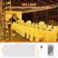 LED Plug-In String Light