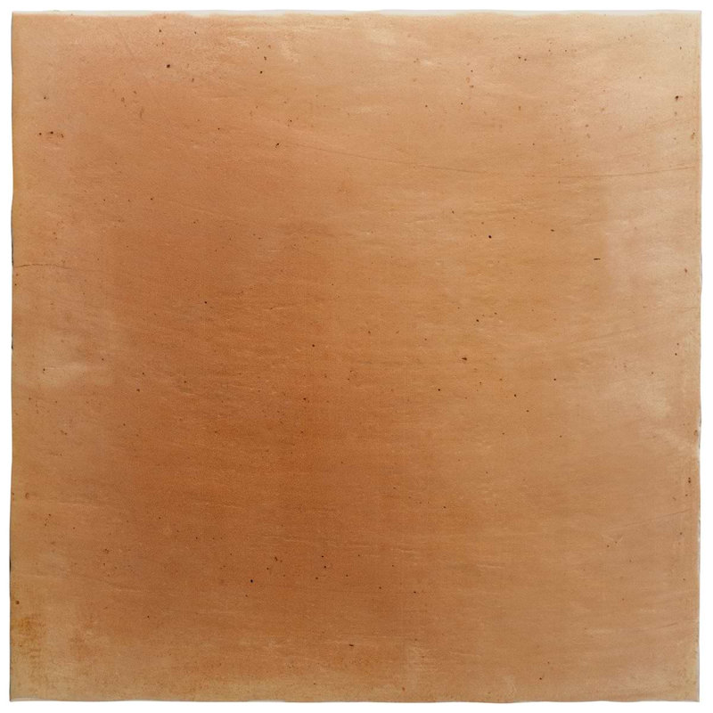 Saltillo 18x18 Matte Encaustic Look Porcelain Tile, Peach