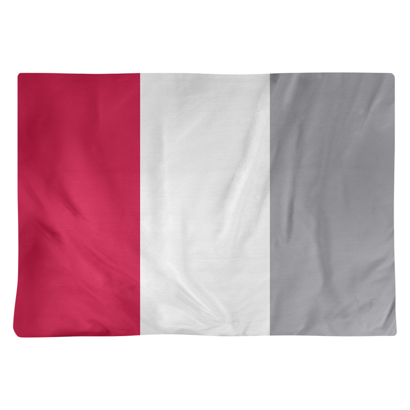 Récapitulatif 18" basket Toronto, Rouge / blanc / argent, Polyester