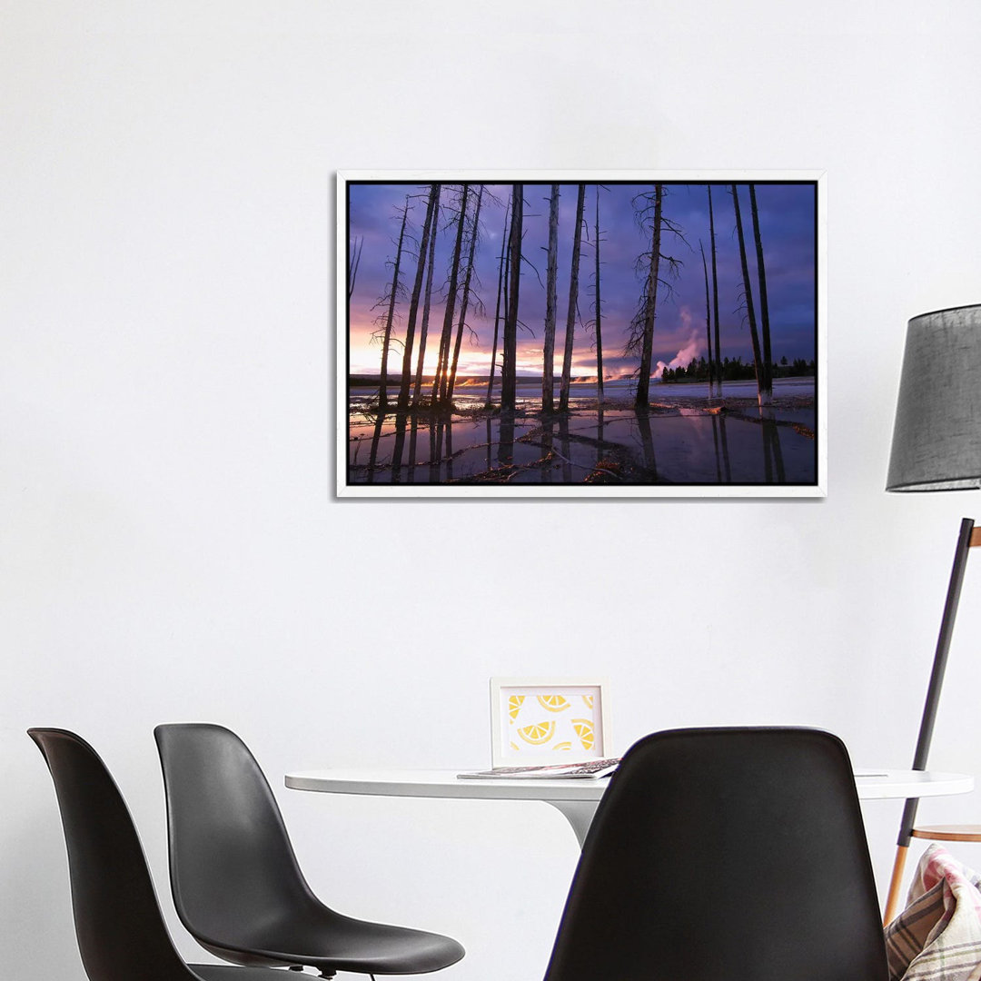 Dead Trees In Lower Geyser Basin At Sunset, Yellowstone National Park, Wyoming by Tim Fitzharris - Gallery-Wrapped Canvas Giclée on Canvas