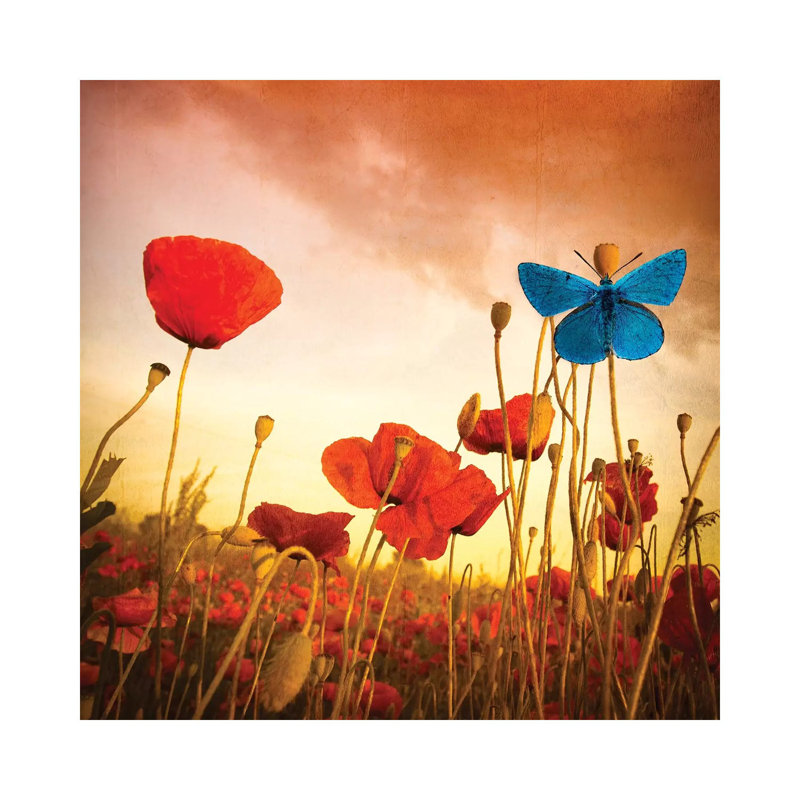 Poppies Dream 1 Piece Wrapped Canvas Painting, 93.98 cm H x 93.98 cm W x 1.91 cm D