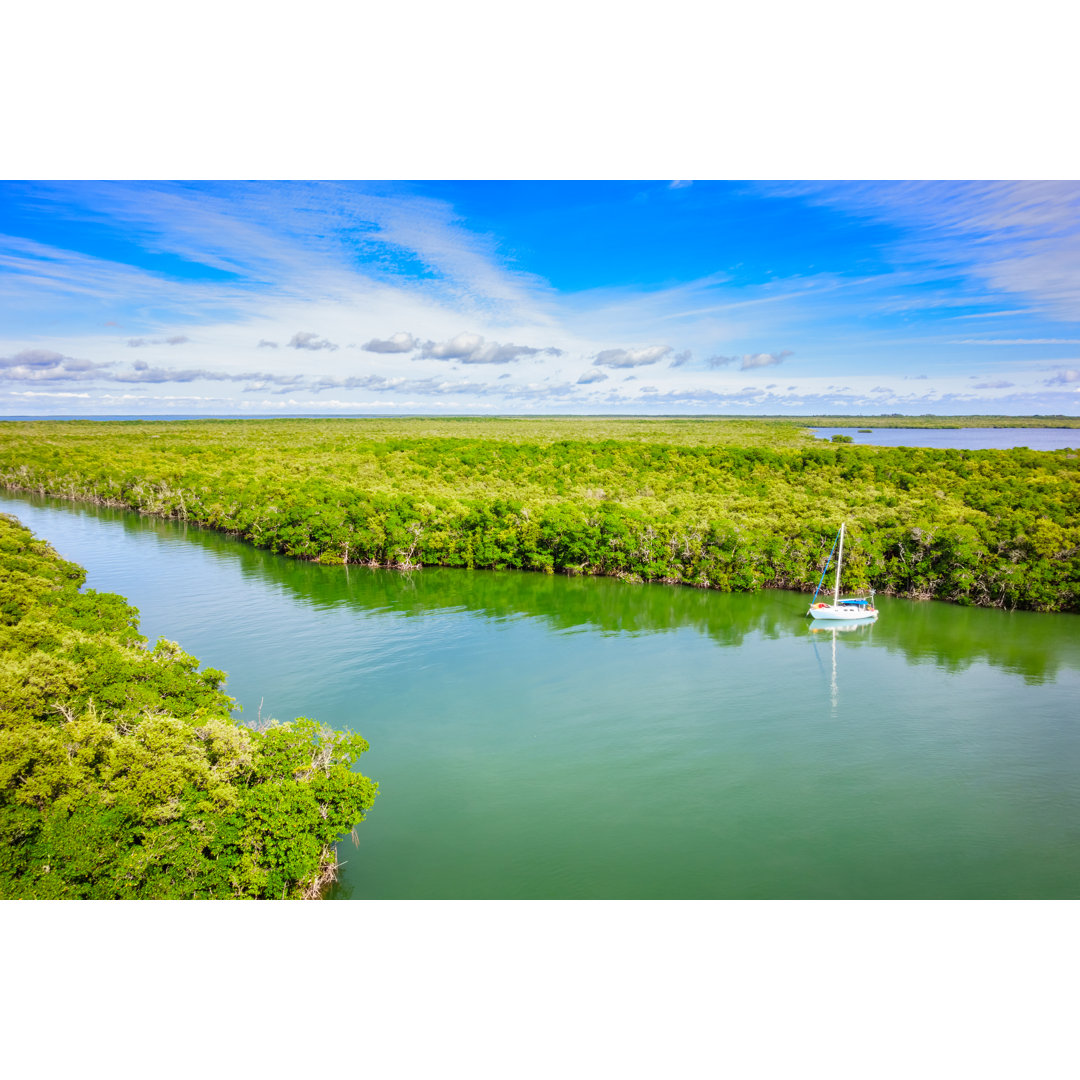 Segelboot und Mangrovenwald