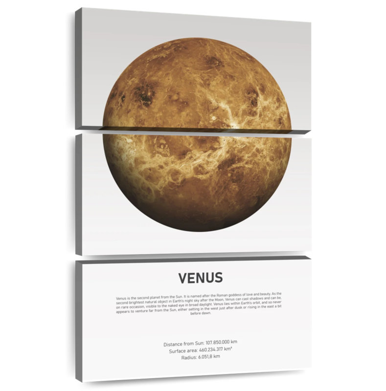 Oberle Venus Light, 32" H x 20" W