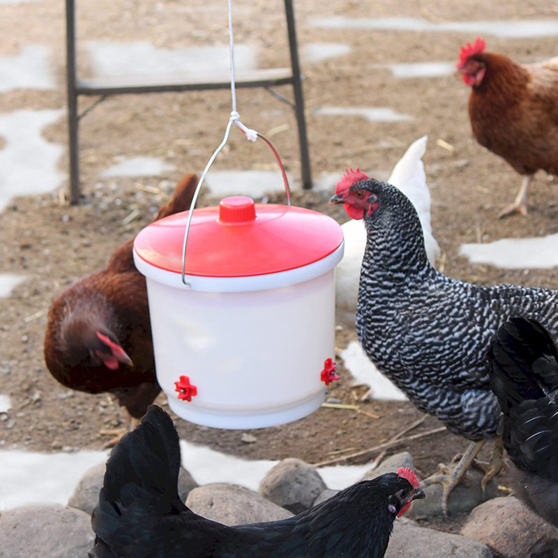 Freestanding Feeding Station