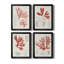 «Vintage Coral Study I», toile encadrée de qualité supérieure - prête à être accrochée-1966984692-1966984655