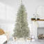 Sapin de Noël artificiel transparent de style champagne 9 '-non éclairé
