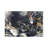 Ona Branch by Teis Albers - Gallery-Wrapped Canvas Giclée on Canvas-1791691978-1791691976