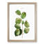 Hazelnut Tree Branch by Pierre-Joseph Redoute - Picture Frame Painting Print-55580030-55580029