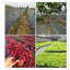 Tapis de sol Weed Barrier Landscape-61894619