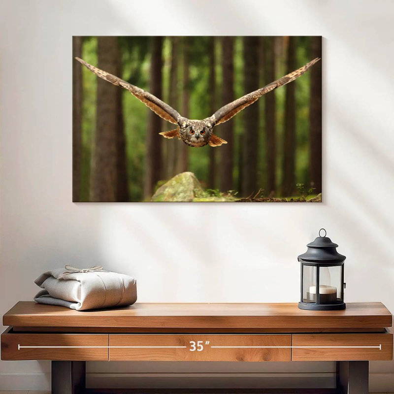 Crowle Eurasian Owl, 16" H x 24" W