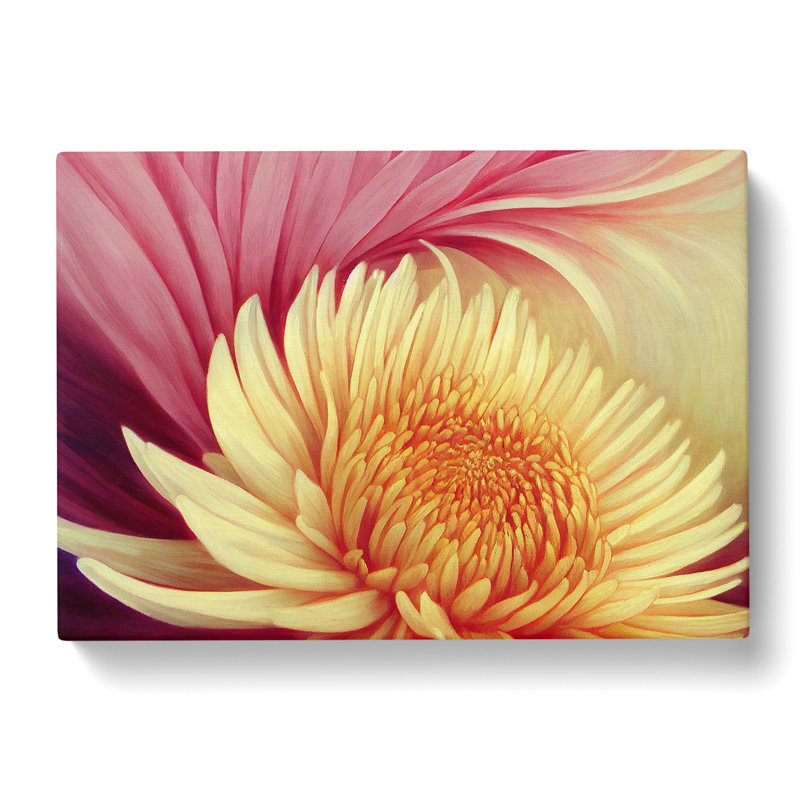 Extravagant Chrysanthemum Flower - Wrapped Canvas, 40cm H x 60cm W x 3cm D