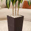 Arbre Dracaena artificiel Adcock résistant aux rayons UV avec grand pot à fleurs, arbre Dracaena artificiel pour l'extérieur-1412642200-1415389812