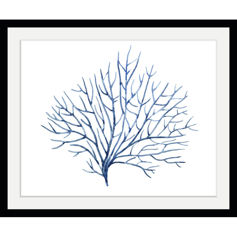 Seaweed - Single Picture Frame Print