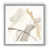 Framed Print selected