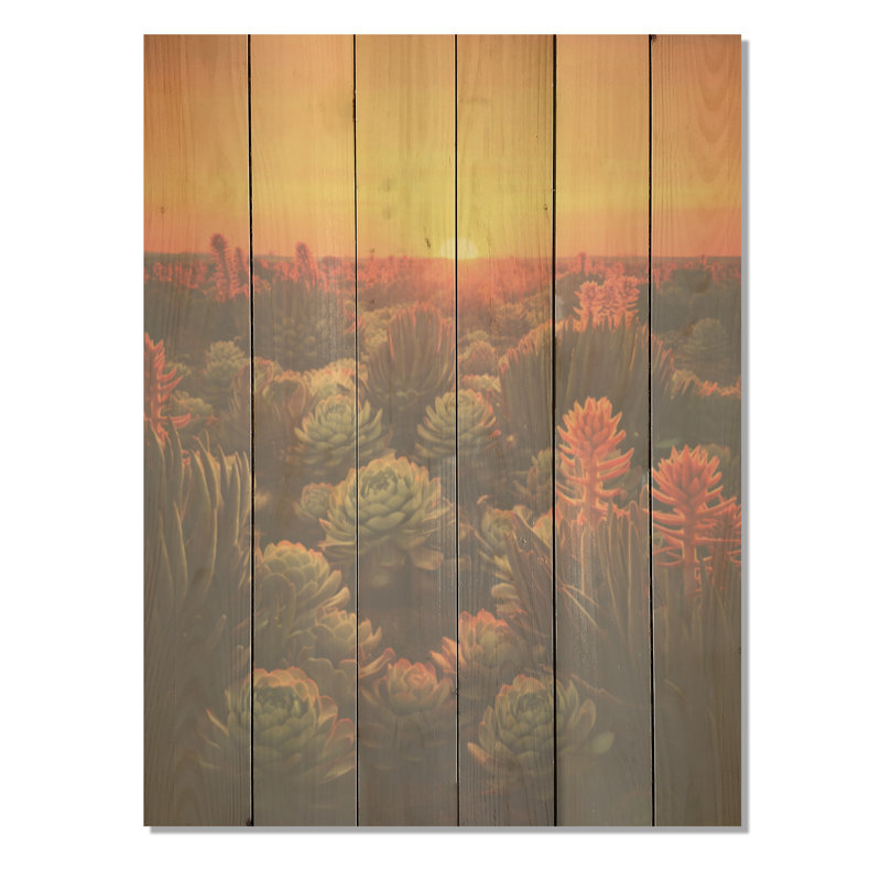 «Succulent Desert Cactus Field Burning Sunset I», art en bois succulent sur bois de pin naturel, H 40 po x l 30 po