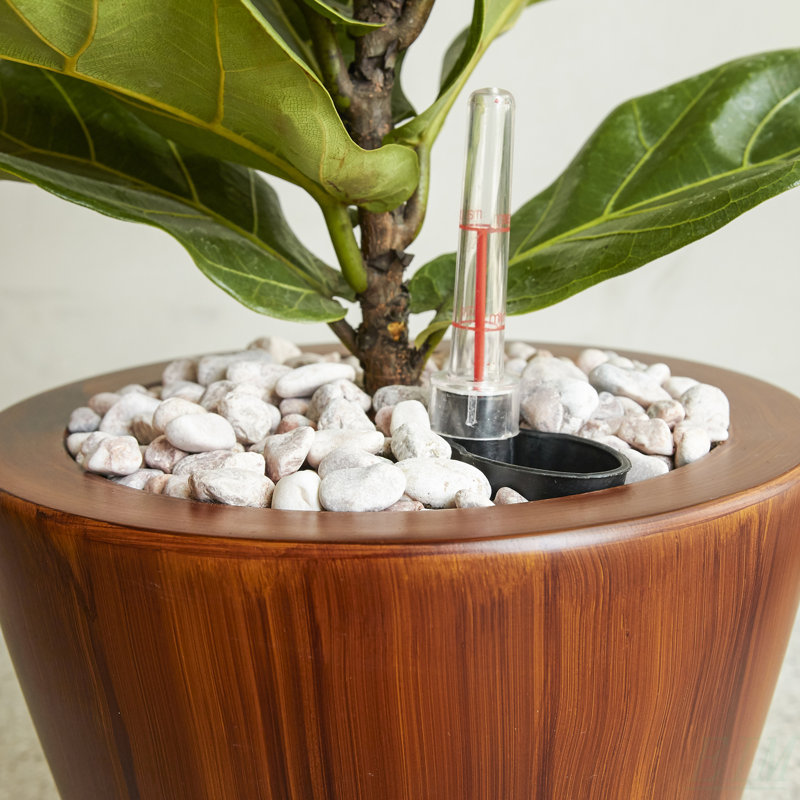 Plastic Self-Watering Planter For Indoor, Outdoor, Dark Brown